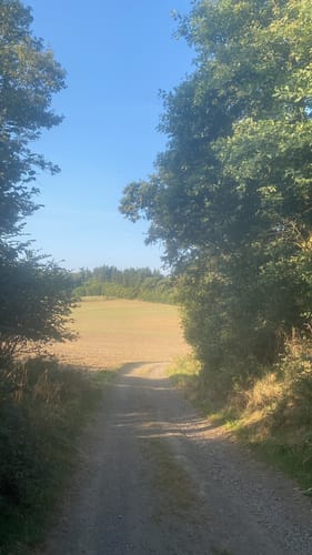Nette Romantikpfad (Premiumspazierwanderweg)