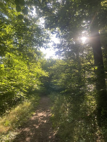 Nette Romantikpfad (Premiumspazierwanderweg)