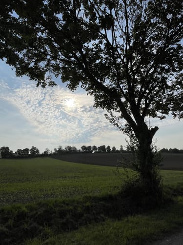 Runde bei Schierling