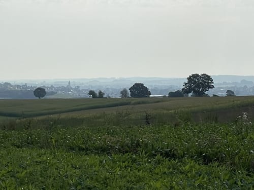 Runde bei Schierling