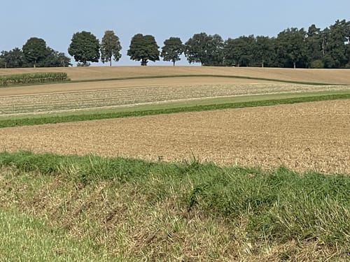 Runde bei Schierling
