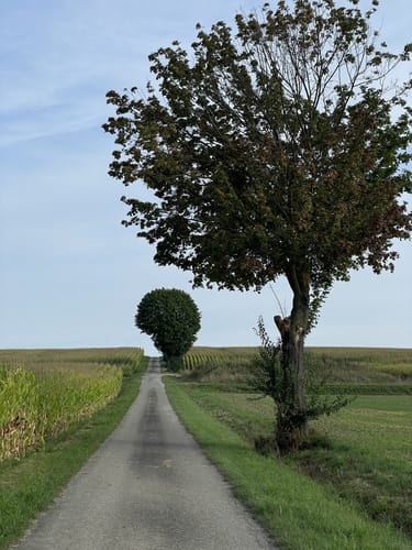 Runde bei Schierling