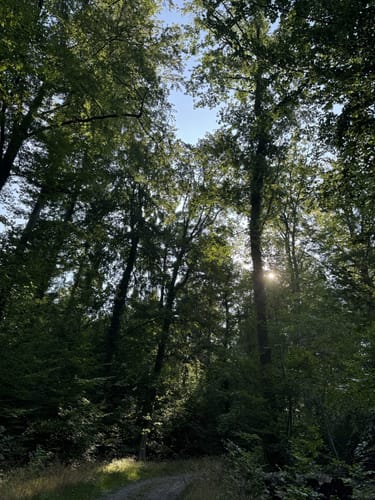 Ungeheuerklamm-Runde von Untergrombach