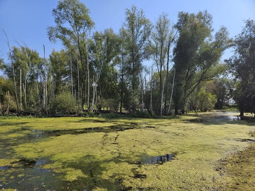 Von Tetz um die Rur zum Barmener Baggersee