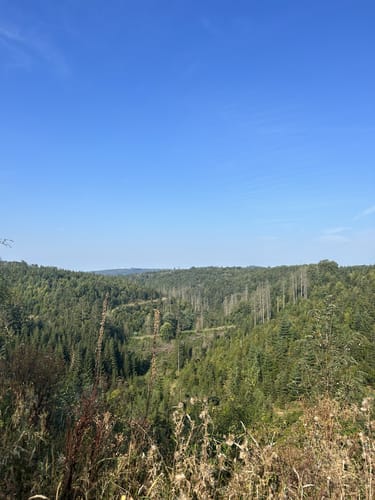 Büschen - Hohenhain - Freudenberg