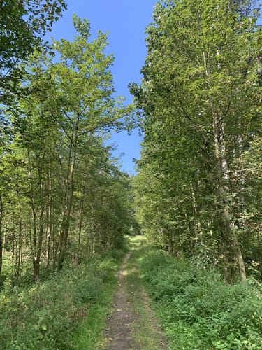 Bad Grönenbach - Herbisried