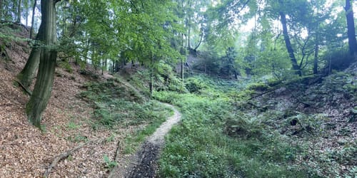 3 Tannen Weg