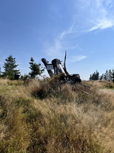 Von Züschen auf den Mythen- und Sagenweg