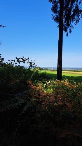 Venner Mühle - Venner Aussichtsturm