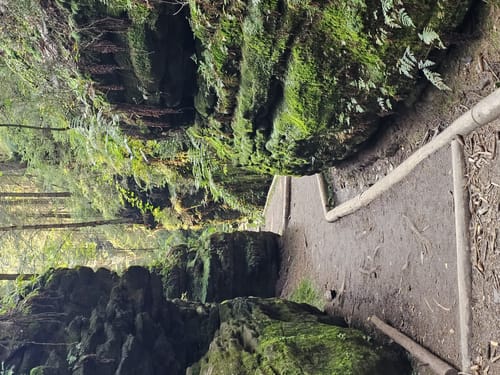 Basteirundweg Sächsische Schweiz