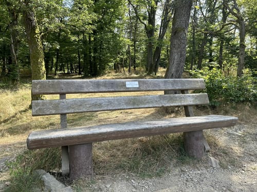 Kronberg: Falkenstein und Mammolshain