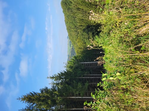 Runde an der Enz