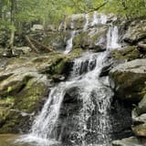 Dark Hollow Falls Trail Virginia - EyJidWNrZXQiOiJhc3NldHMuYWxsdHJhaWxzLmNvbSIsImtleSI6InVwbG9hZHMvcGhvdG8vaW1hZ2UvODI4NDEzMjEvZDMwMWNkZGQyNGM0ZGQxMDg5MzA0MzdhYWI5M2NiMWMuanBnIiwiZWRpdHMiOnsidG9Gb3JtYXQiOiJqcGVnIiwicmVzaXplIjp7IndpZHRoIjoxNjAsImhlaWdodCI6MTYwLCJmaXQiOiJjb3ZlciJ9LCJyb3RhdGUiOm51bGwsImpwZWciOnsidHJlbGxpc1F1YW50aXNhdGlvbiI6dHJ1ZSwib3ZlcnNob290RGVyaW5naW5nIjp0cnVlLCJvcHRpbWlzZVNjYW5zIjp0cnVlLCJxdWFudGlzYXRpb25UYWJsZSI6M319fQ==