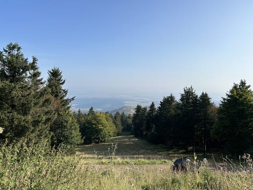 Großer Inselsberg