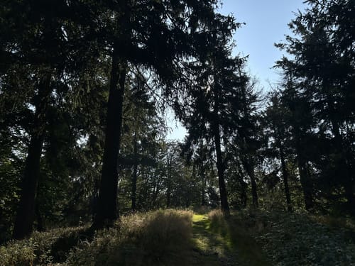 Großer Inselsberg