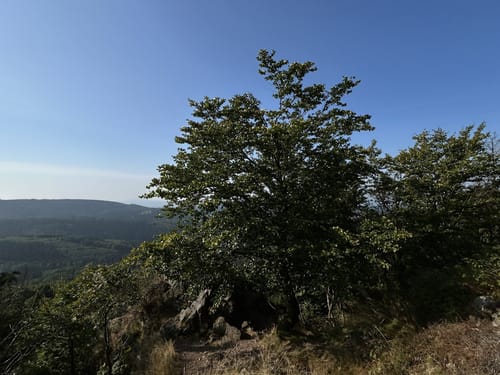 Großer Inselsberg