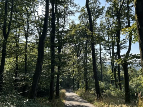 Großer Inselsberg