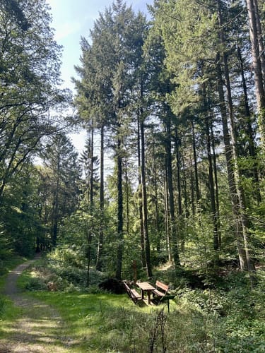 Wanderweg bei Nordenstadt