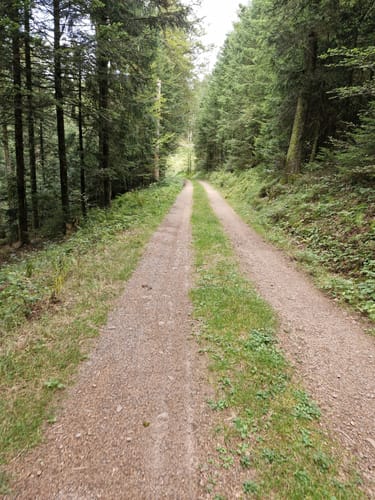 Um den Häusleberg