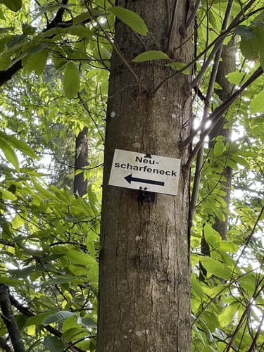 Ramberg: 3-Burgen-Runde