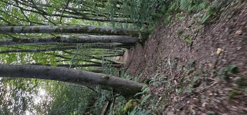 Unnau-Korb - Nisteraue Rundwanderung