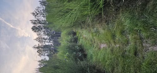 Unnau-Korb - Nisteraue Rundwanderung