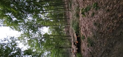 Unnau-Korb - Nisteraue Rundwanderung