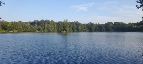 Dinslaken: Spaziergang durch das Rotbachtal