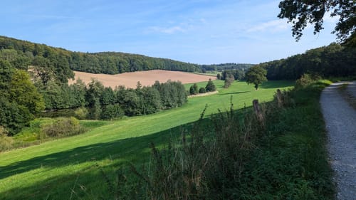 Langscheid Rundweg L4