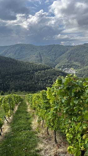 Zell: Viereckiger Turm und Weinberge