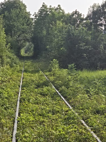 Runde um den Hohenasperg