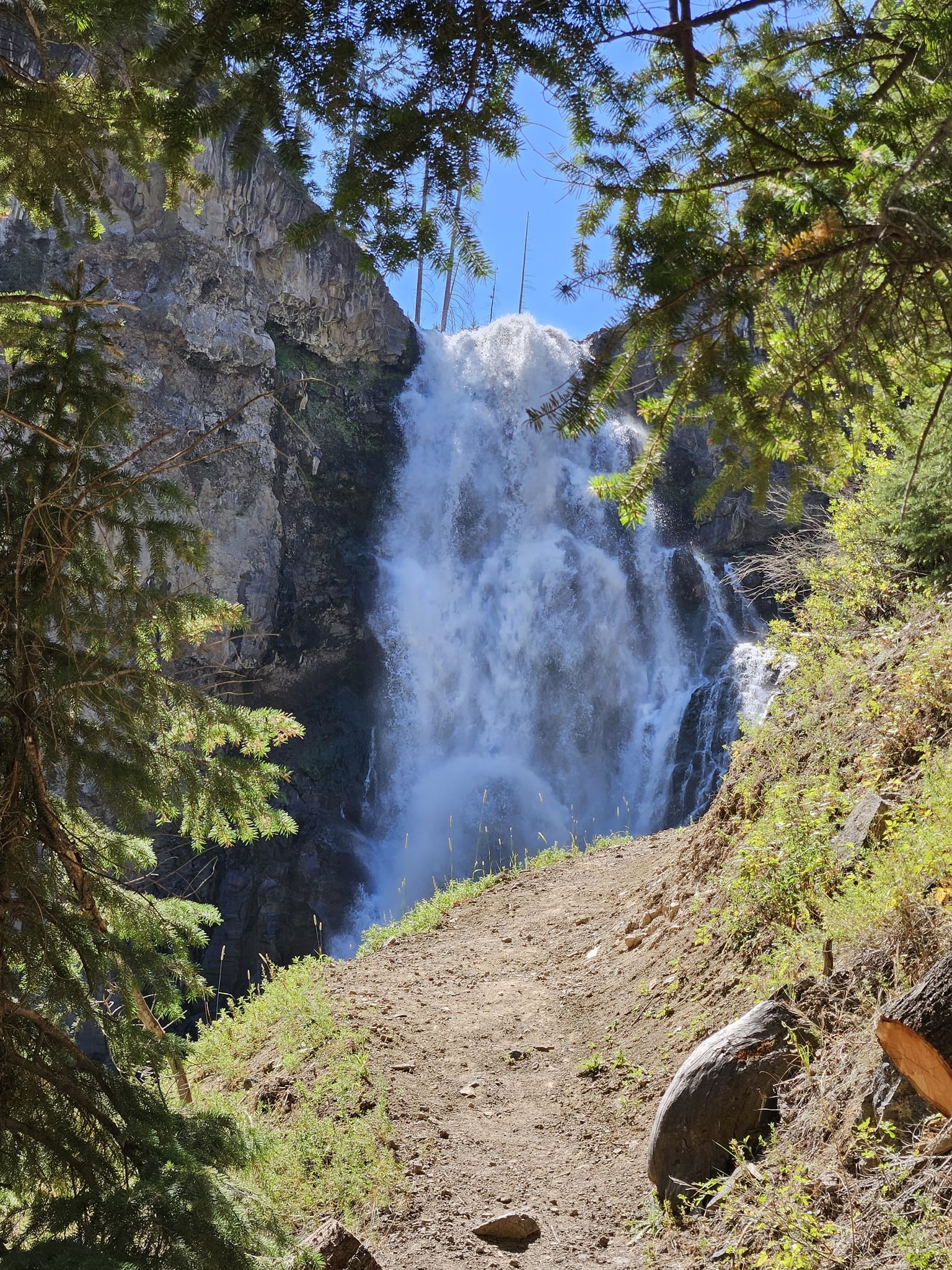 Photos of Osprey Falls via Old Bunsen Peak Road and Osprey Falls Trail Montana AllTrails