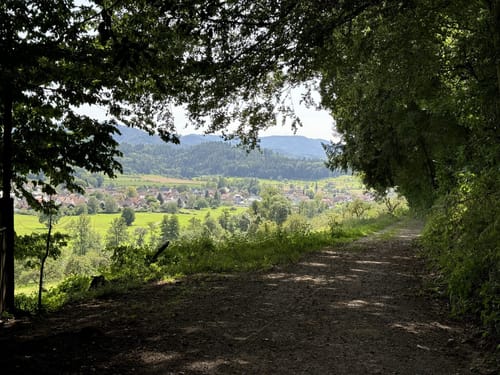 Rund um den Hornwald und die Hochburg
