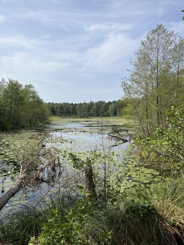 Wildnispfad auf den Stiftungsflächen Lieberose