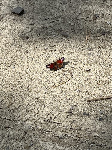 Wildnispfad auf den Stiftungsflächen Lieberose