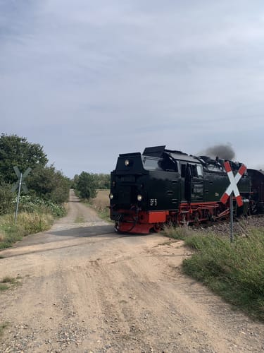 Selketal-Stieg Etappe 4: Bad Suderode - Quedlinburg