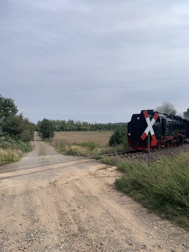 Selketal-Stieg Etappe 4: Bad Suderode - Quedlinburg