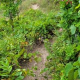 Pyramid Point Loop, Michigan - 1,254 Reviews, Map | AllTrails