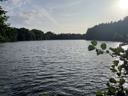 Hohenlockstedt durch dem Holsteinerwald