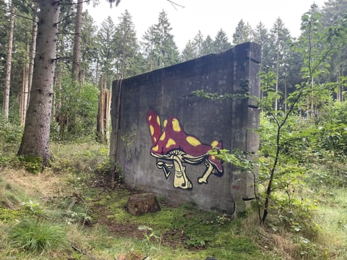 Hohenlockstedt durch dem Holsteinerwald