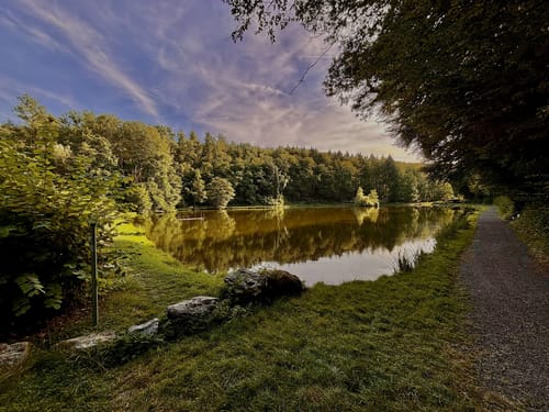 Naturschutzgebiet Theißtal und Waldsee ab Niedernhausen