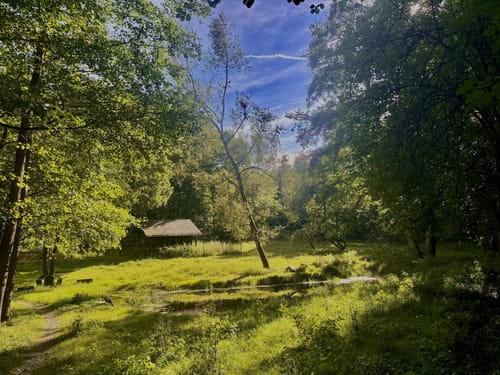 Naturschutzgebiet Theißtal und Waldsee ab Niedernhausen