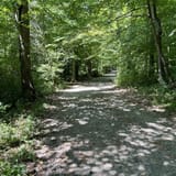 Lake Accotink Trail, Virginia - 2,879 Reviews, Map | AllTrails