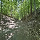Lake Accotink Trail, Virginia - 2,879 Reviews, Map | AllTrails