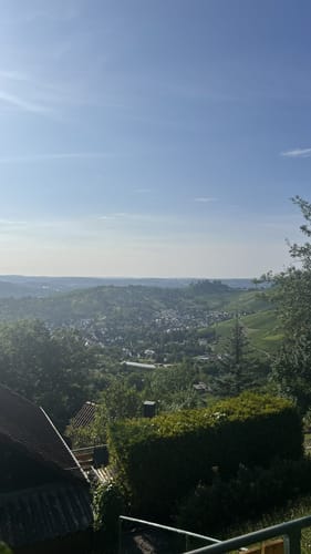 Um die Katharinenlinde
