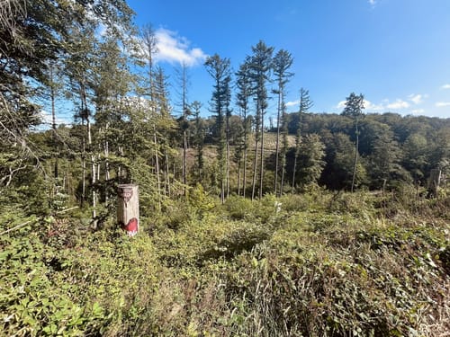 Heilkimatischer Wanderweg 2 (Eckenhagen)