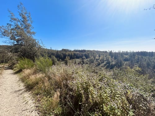 Heilkimatischer Wanderweg 2 (Eckenhagen)