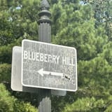 Blueberry Hill Loop, New Jersey - 1,658 Reviews, Map | AllTrails