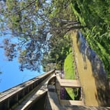 Galatea Point & Dights Falls Loop, Victoria, Australia - 413 Reviews ...