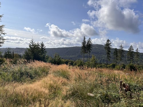 Großen Feldberg